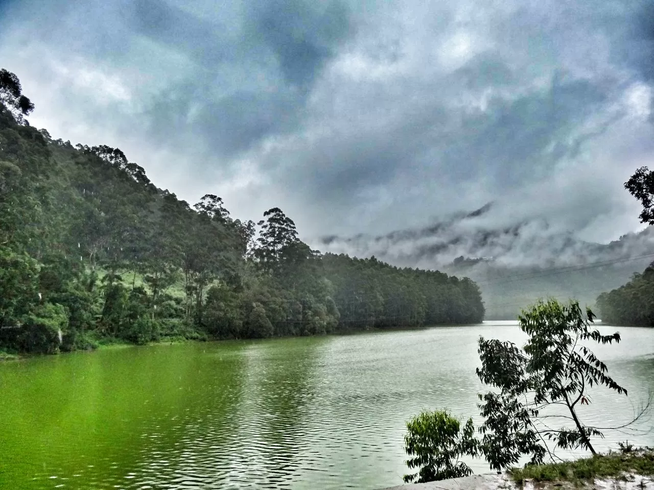 Photo of Munnar By Carol Crasto