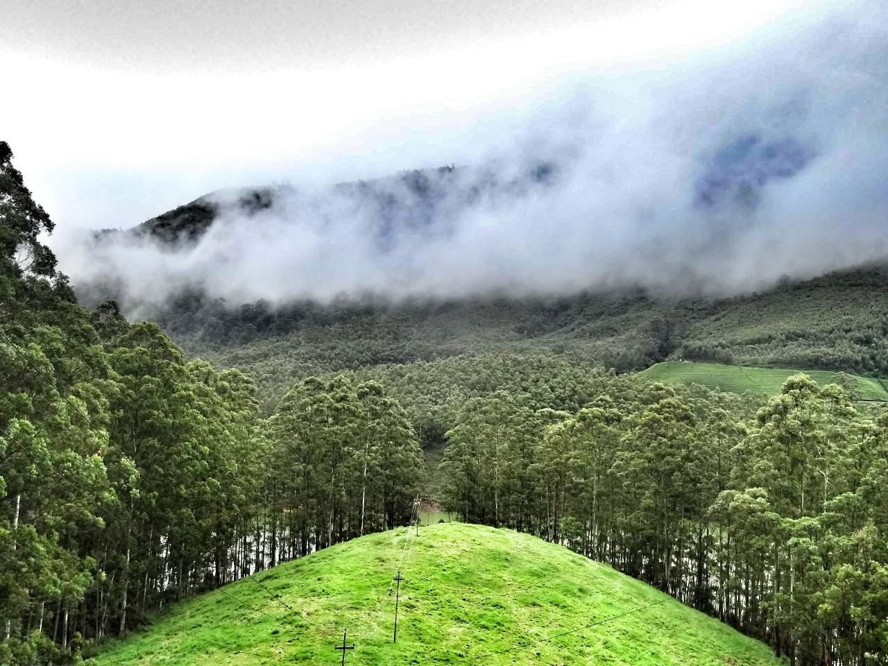 Photo of Munnar By Carol Crasto