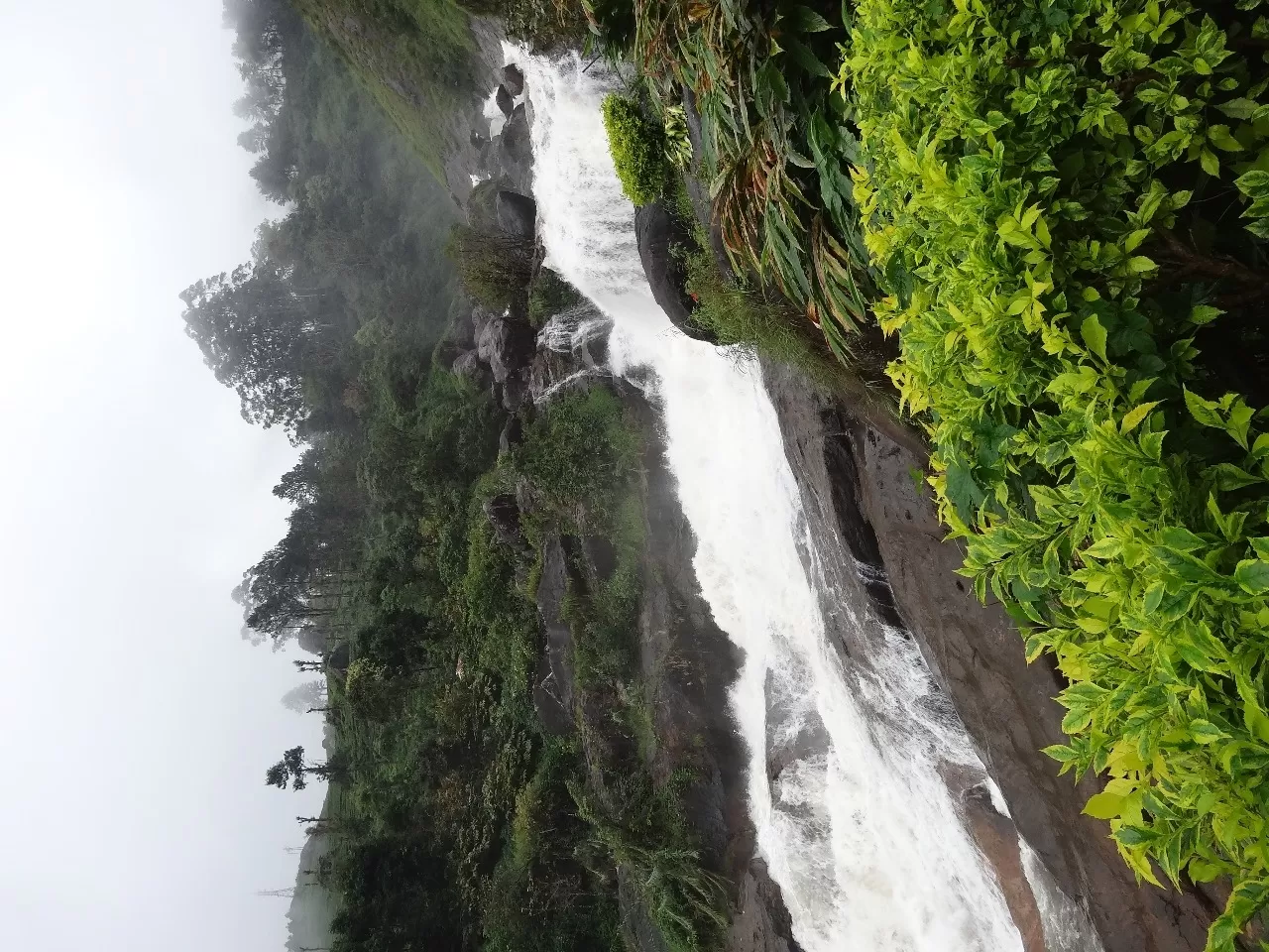 Photo of Munnar By Carol Crasto