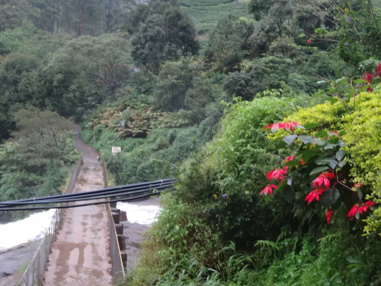 Photo of Munnar By Carol Crasto