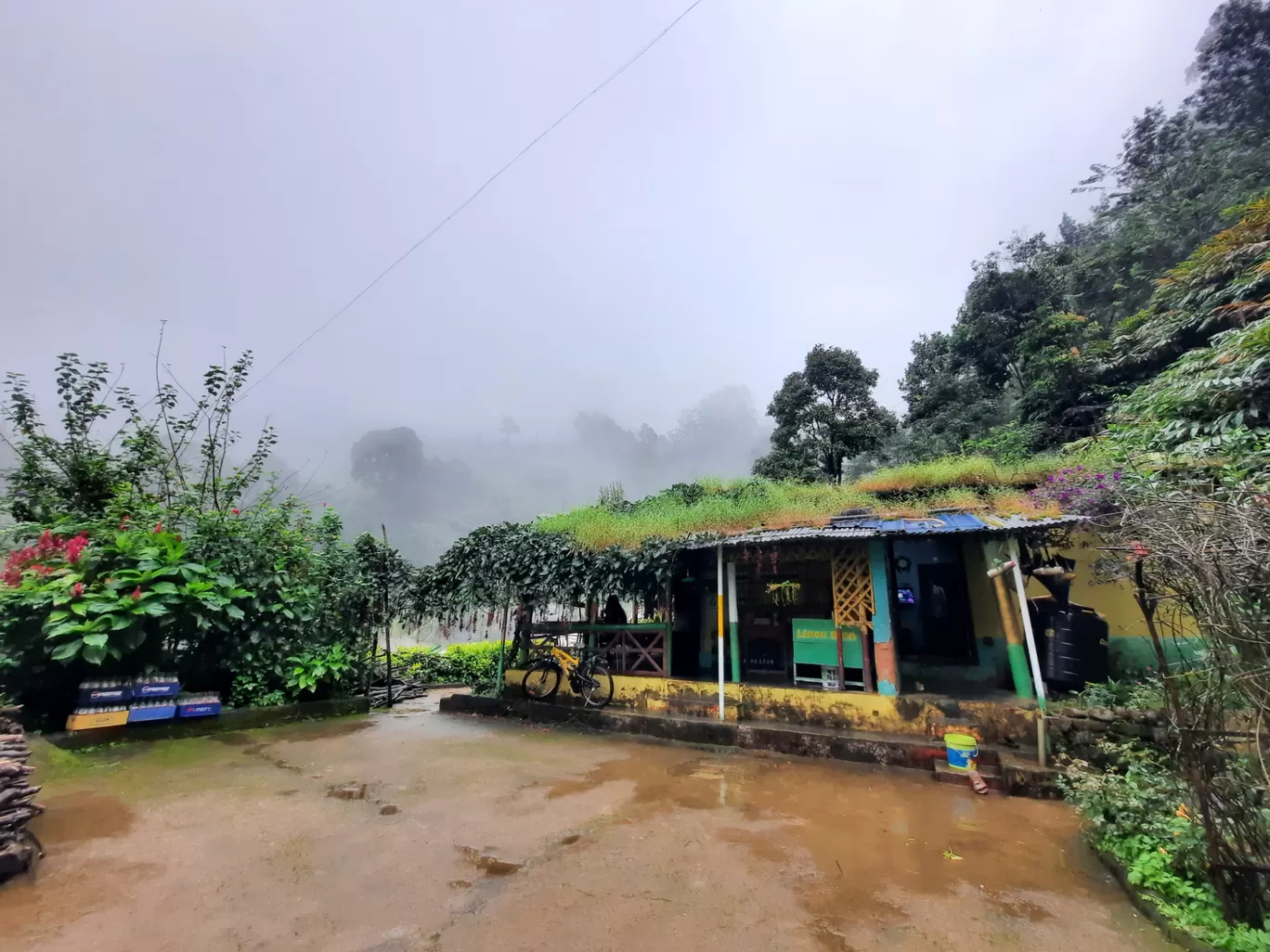 Photo of Munnar By Carol Crasto