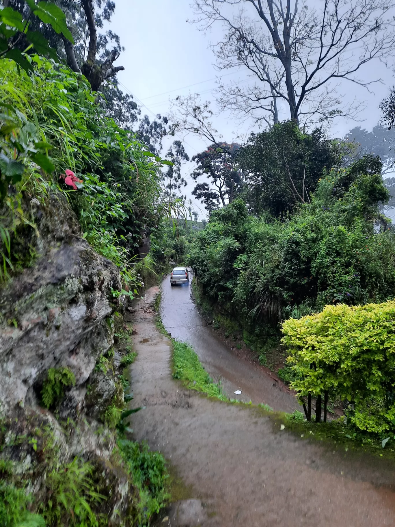 Photo of Munnar By Carol Crasto