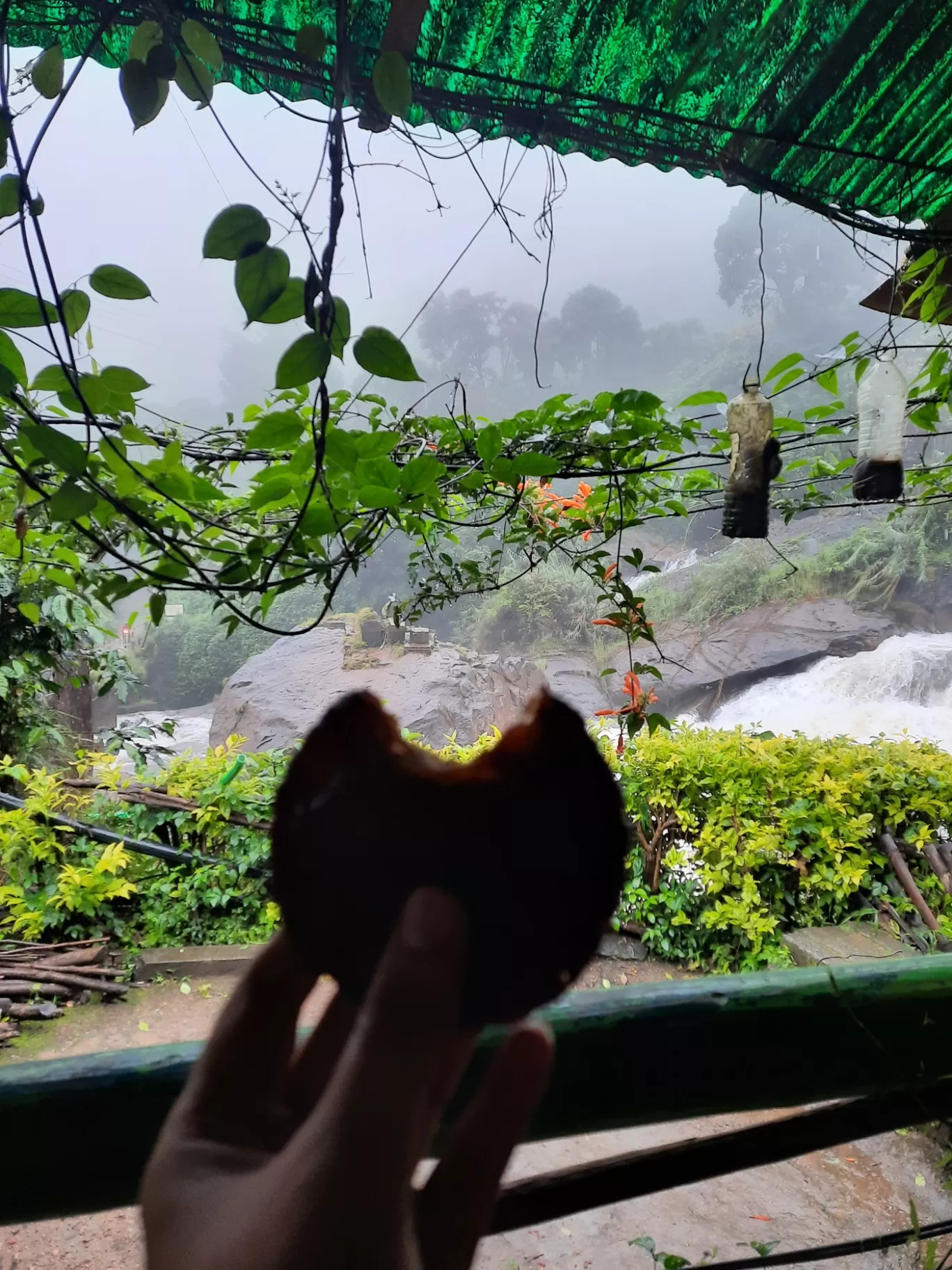 Photo of Munnar By Carol Crasto
