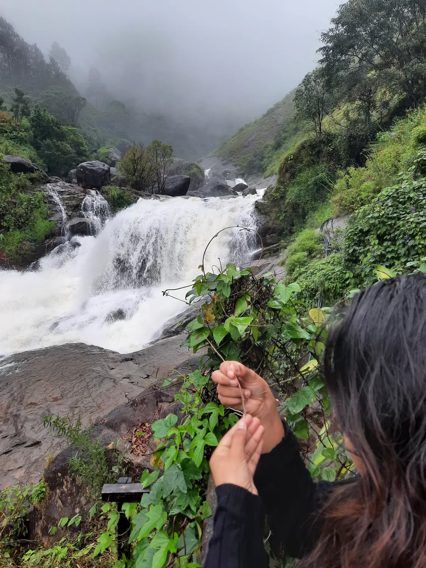 Photo of Munnar By Carol Crasto