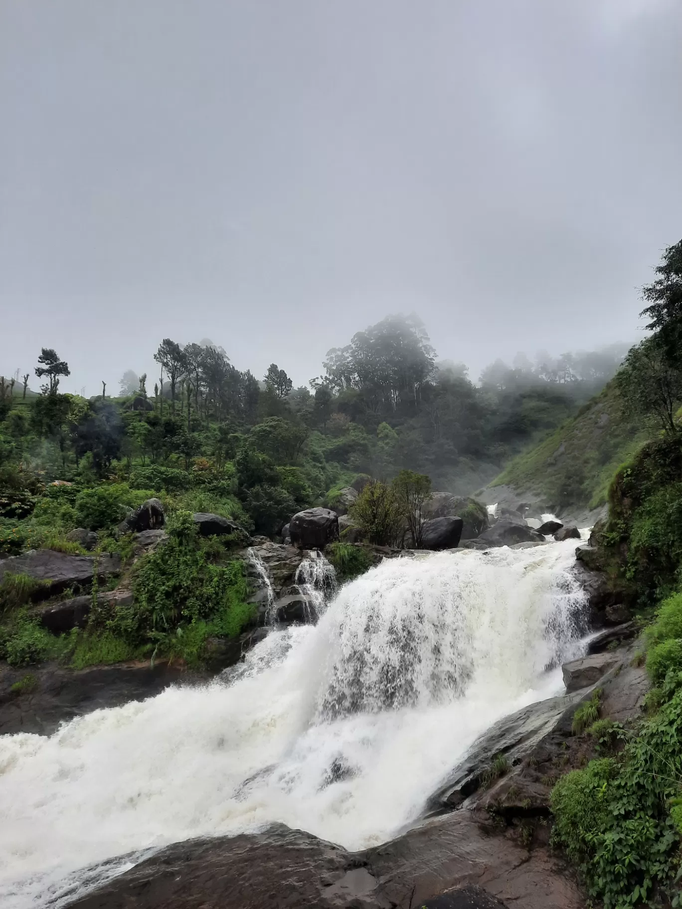 Photo of Munnar By Carol Crasto