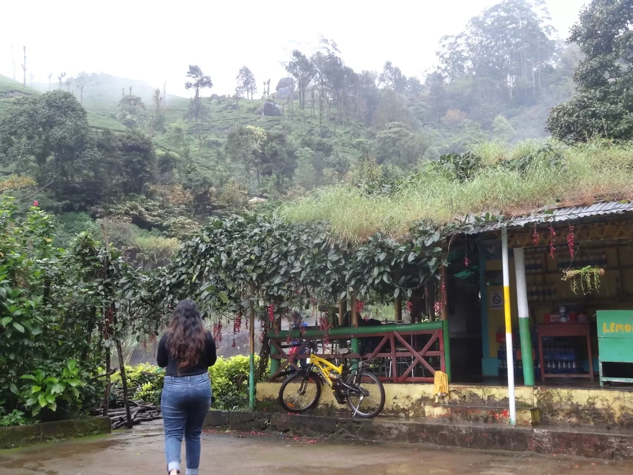Photo of Munnar By Carol Crasto