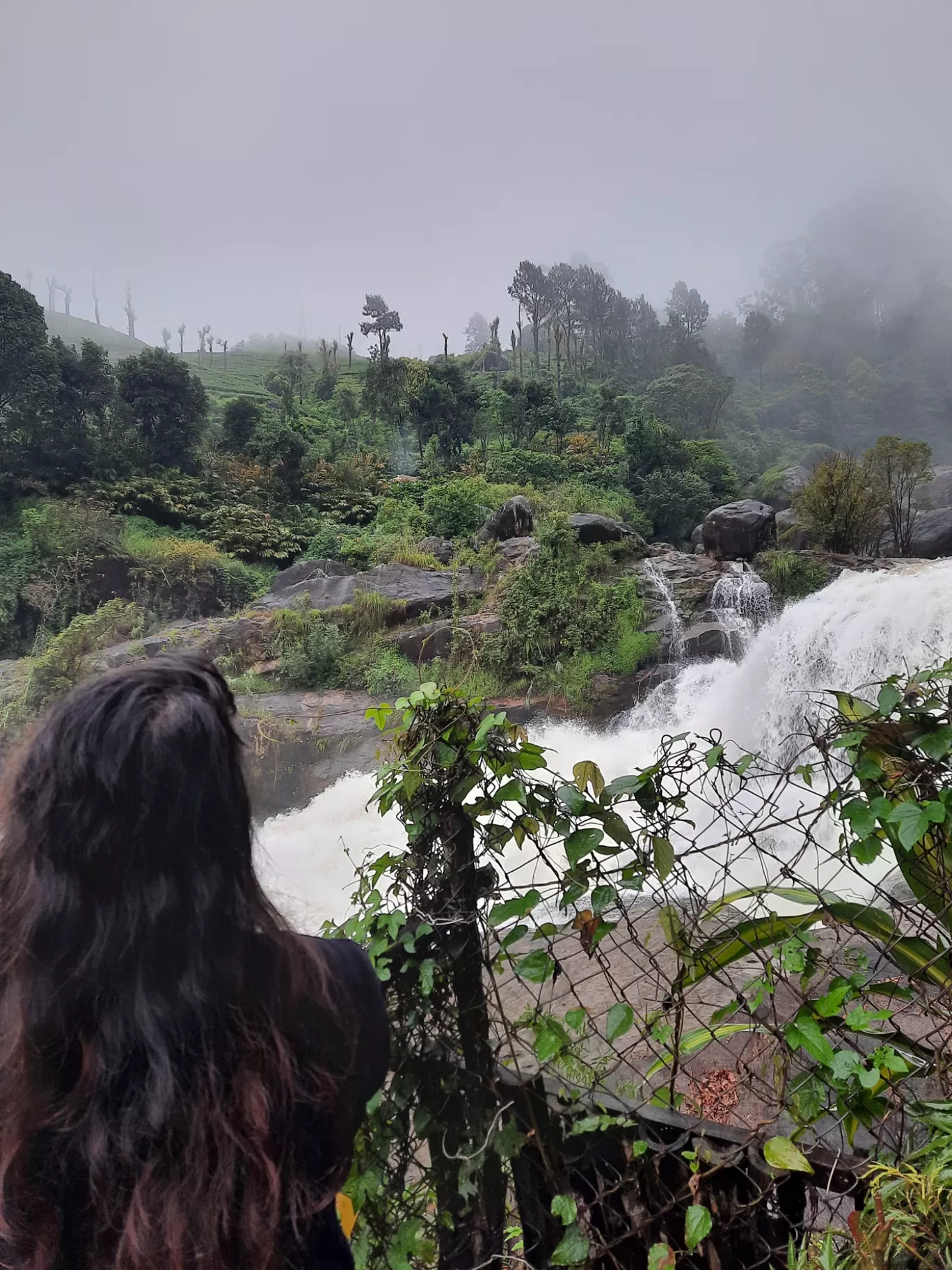 Photo of Munnar By Carol Crasto
