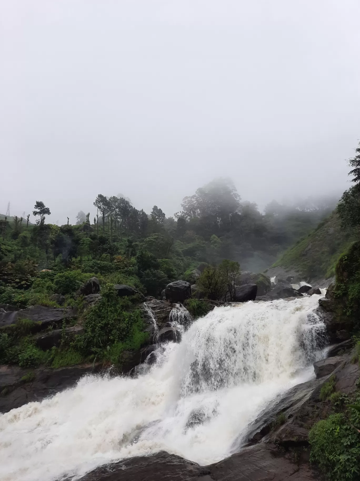 Photo of Munnar By Carol Crasto