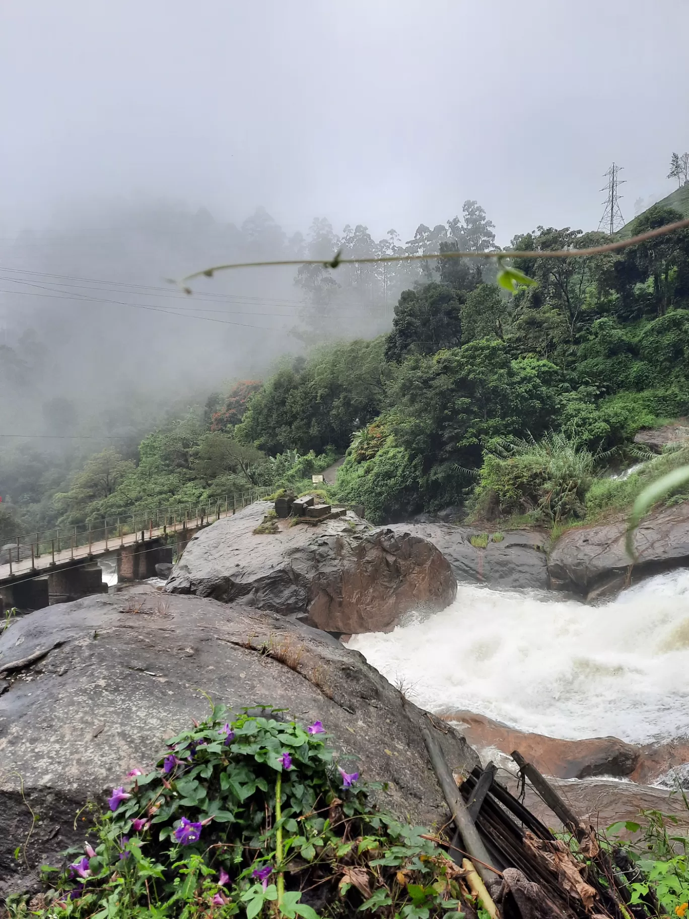 Photo of Munnar By Carol Crasto