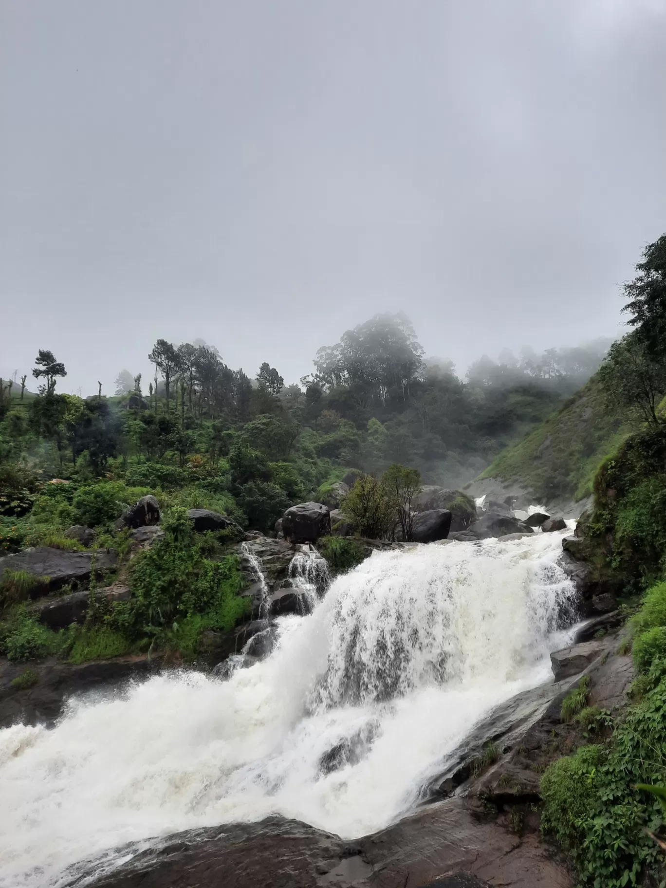 Photo of Munnar By Carol Crasto