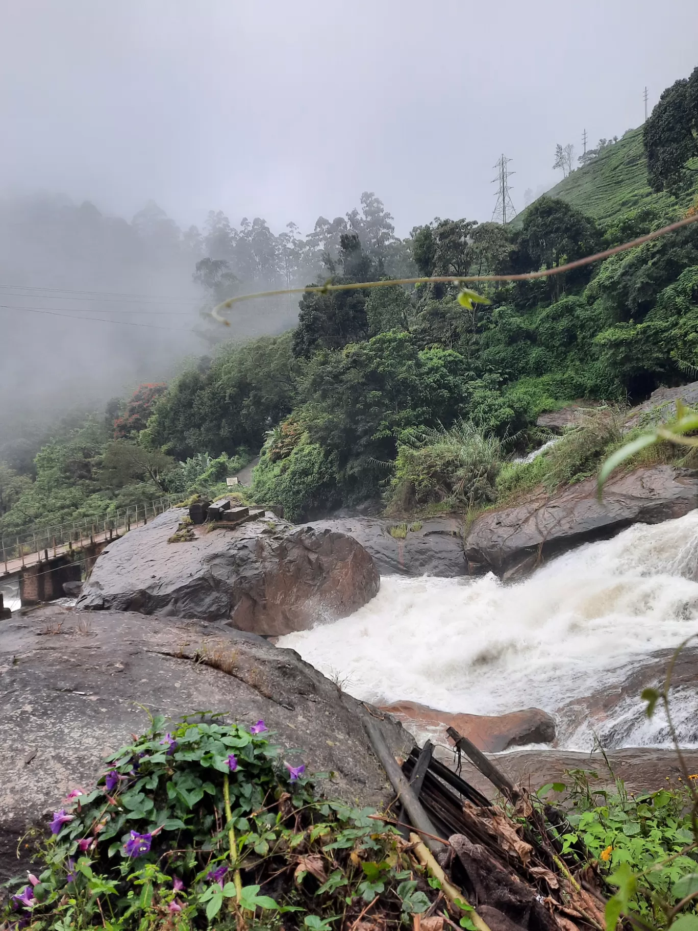 Photo of Munnar By Carol Crasto