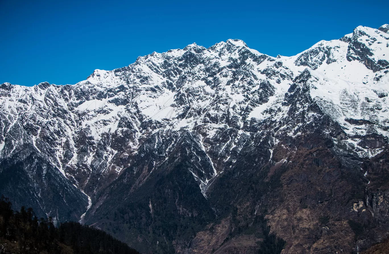Photo of Sikkim By Ila Reddy