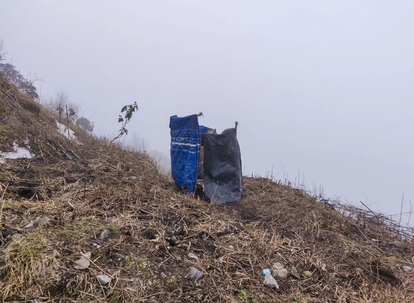 Photo of Sikkim By Ila Reddy