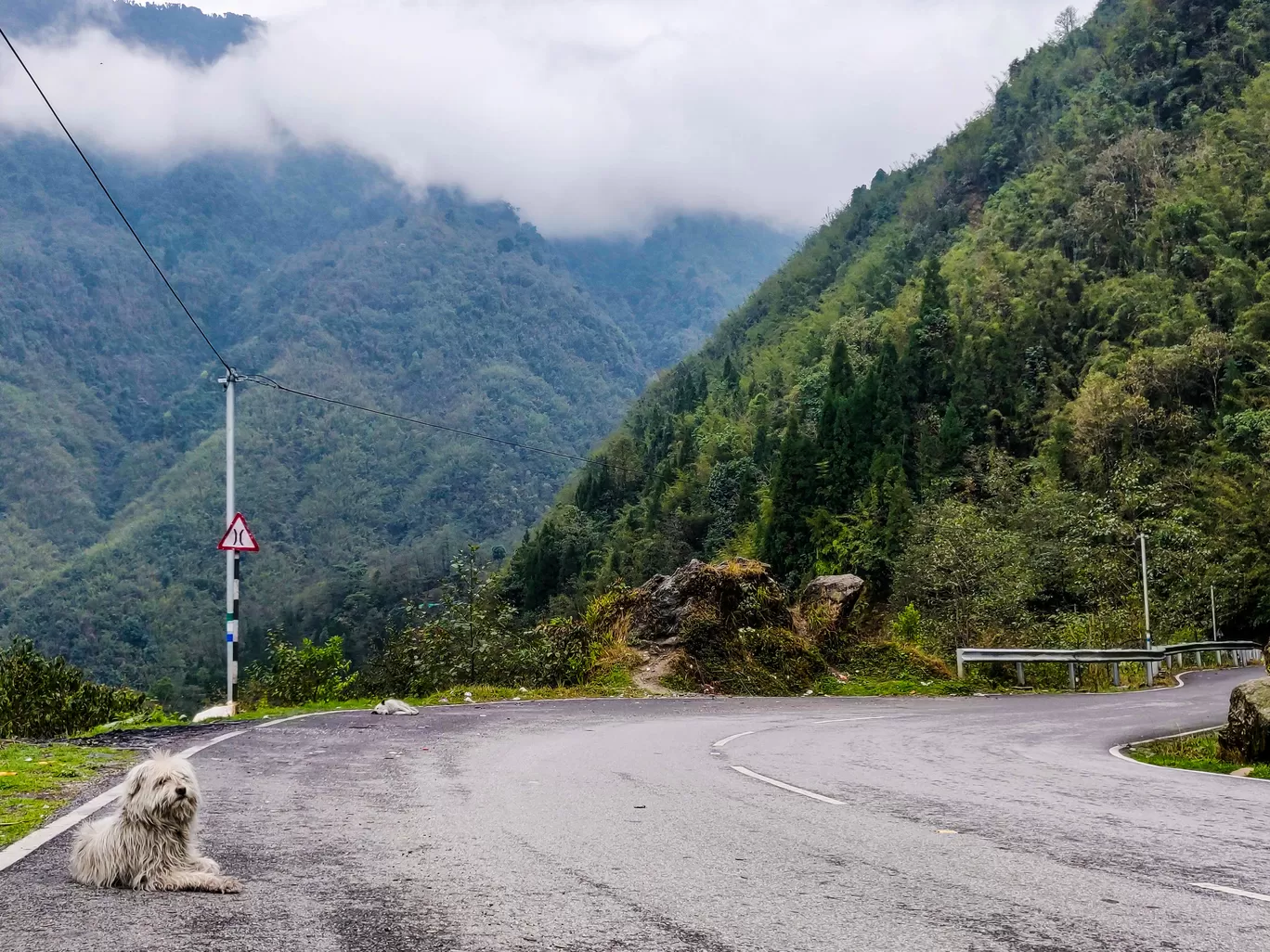 Photo of Sikkim By Ila Reddy