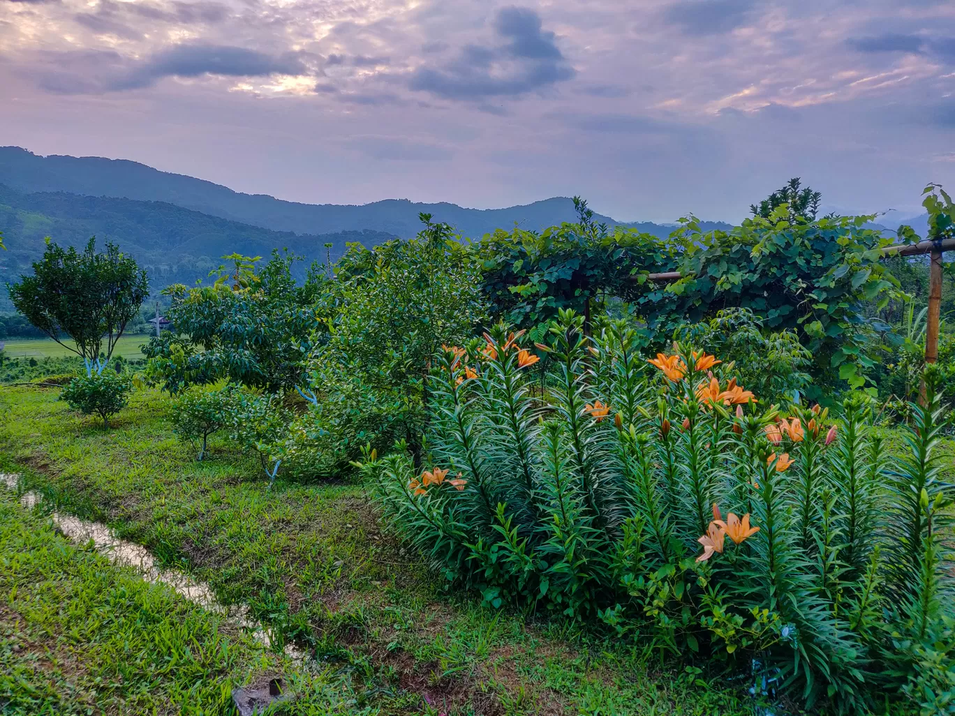 Photo of Northeast India By Ila Reddy