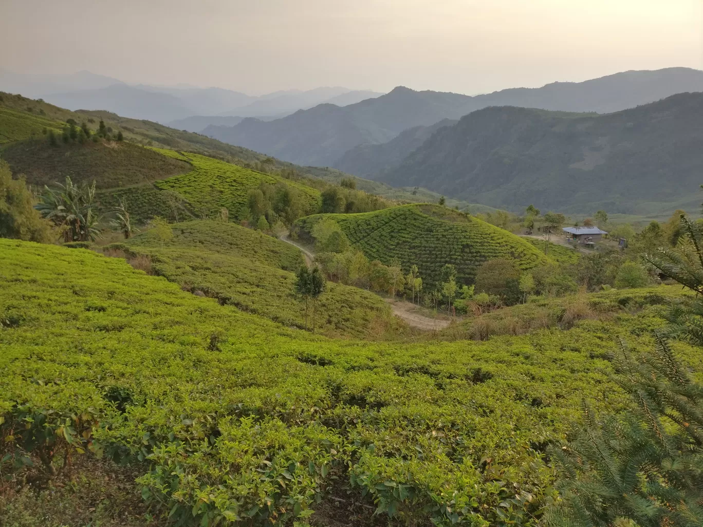 Photo of Northeast India By Ila Reddy