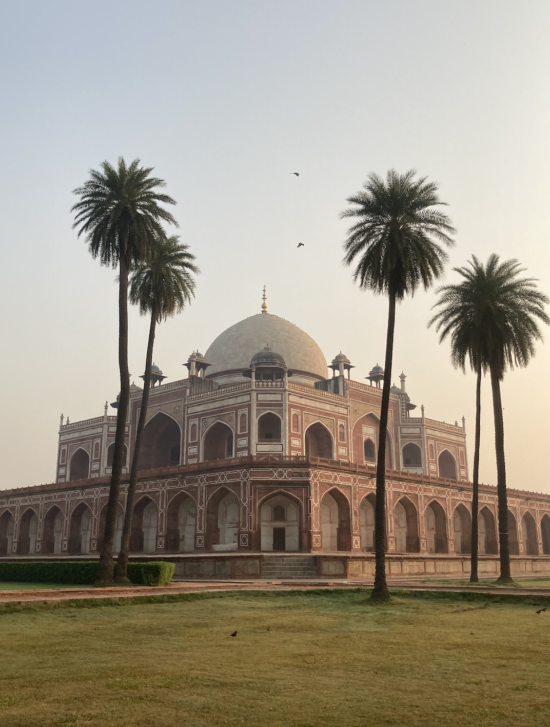 Photo of New Delhi By Ila Reddy