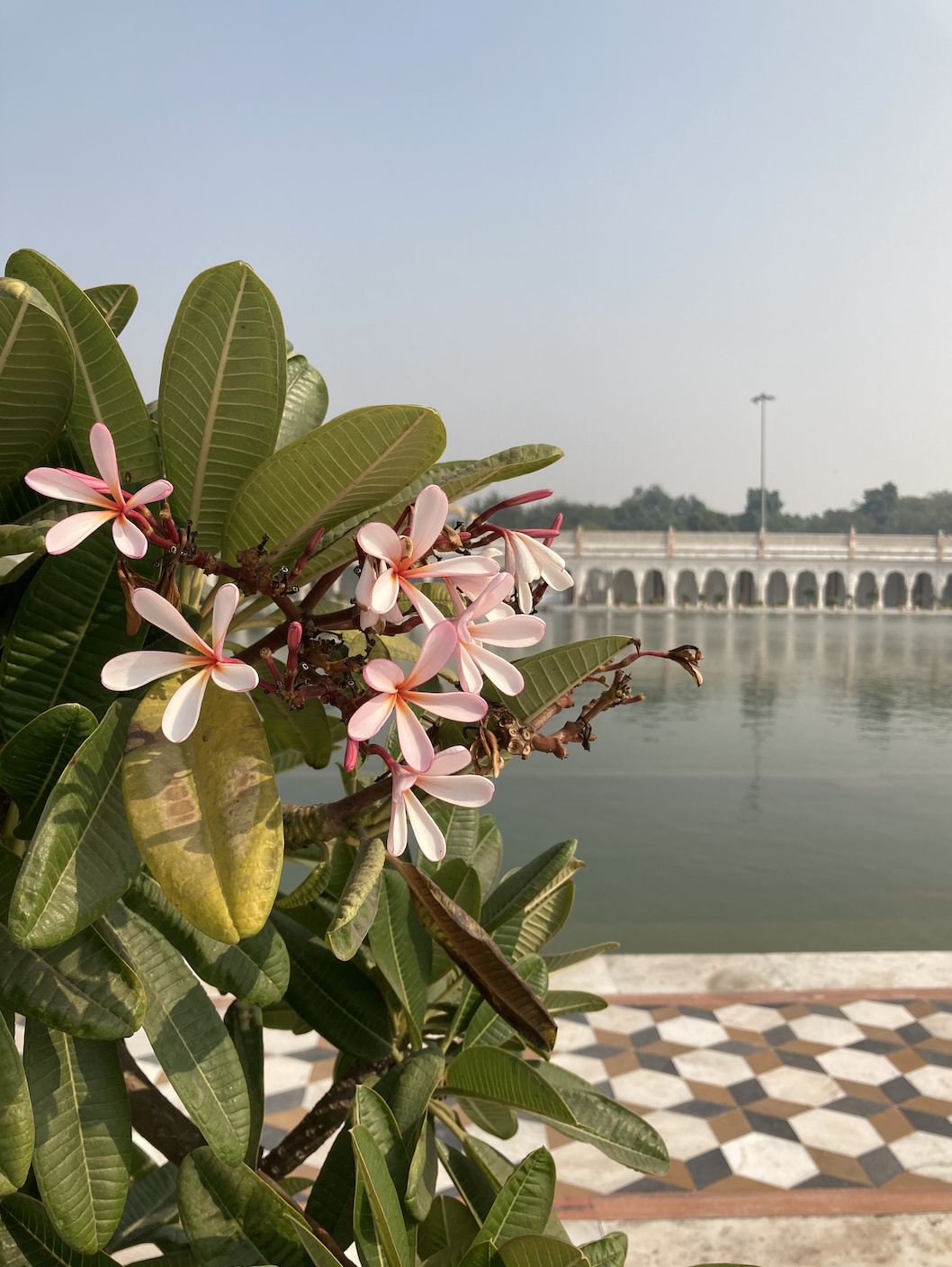 Photo of New Delhi By Ila Reddy