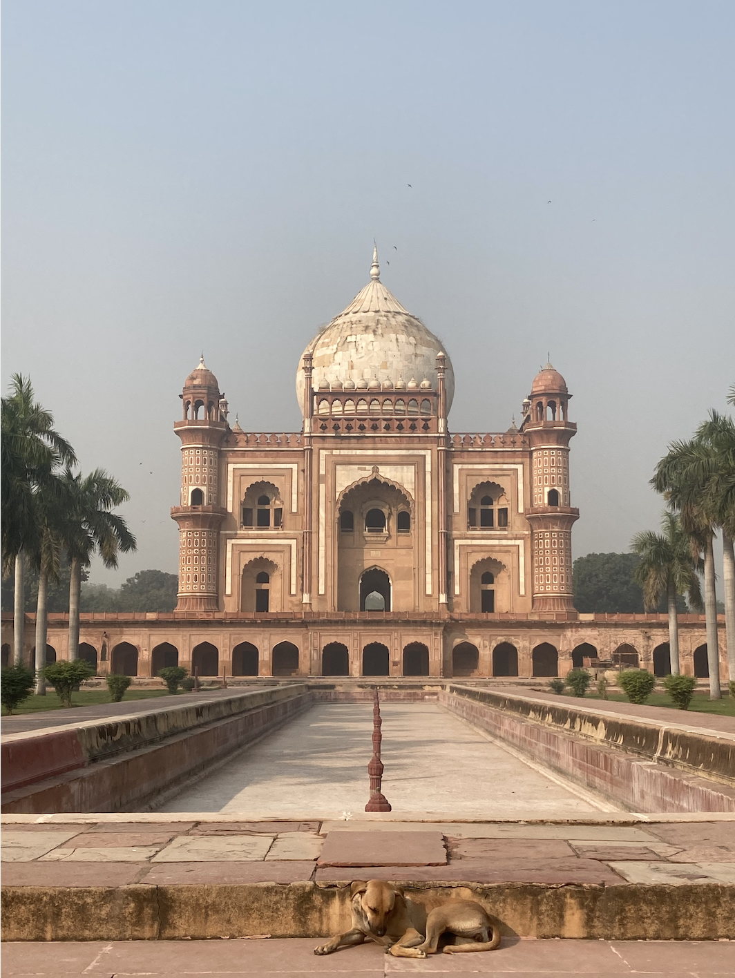 Photo of New Delhi By Ila Reddy