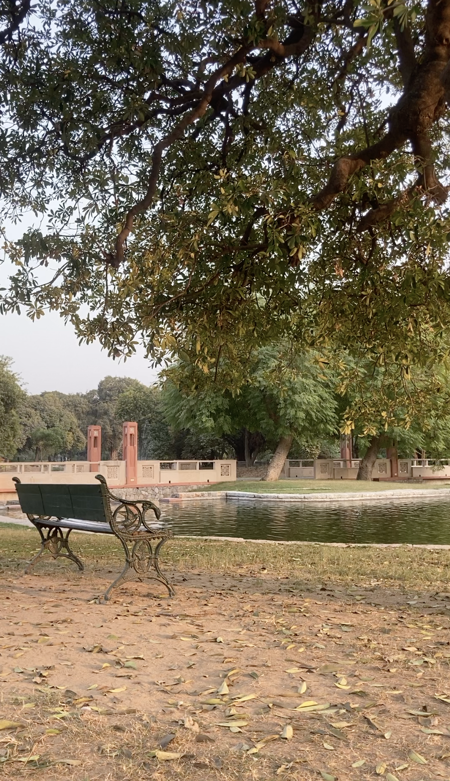 Photo of New Delhi By Ila Reddy