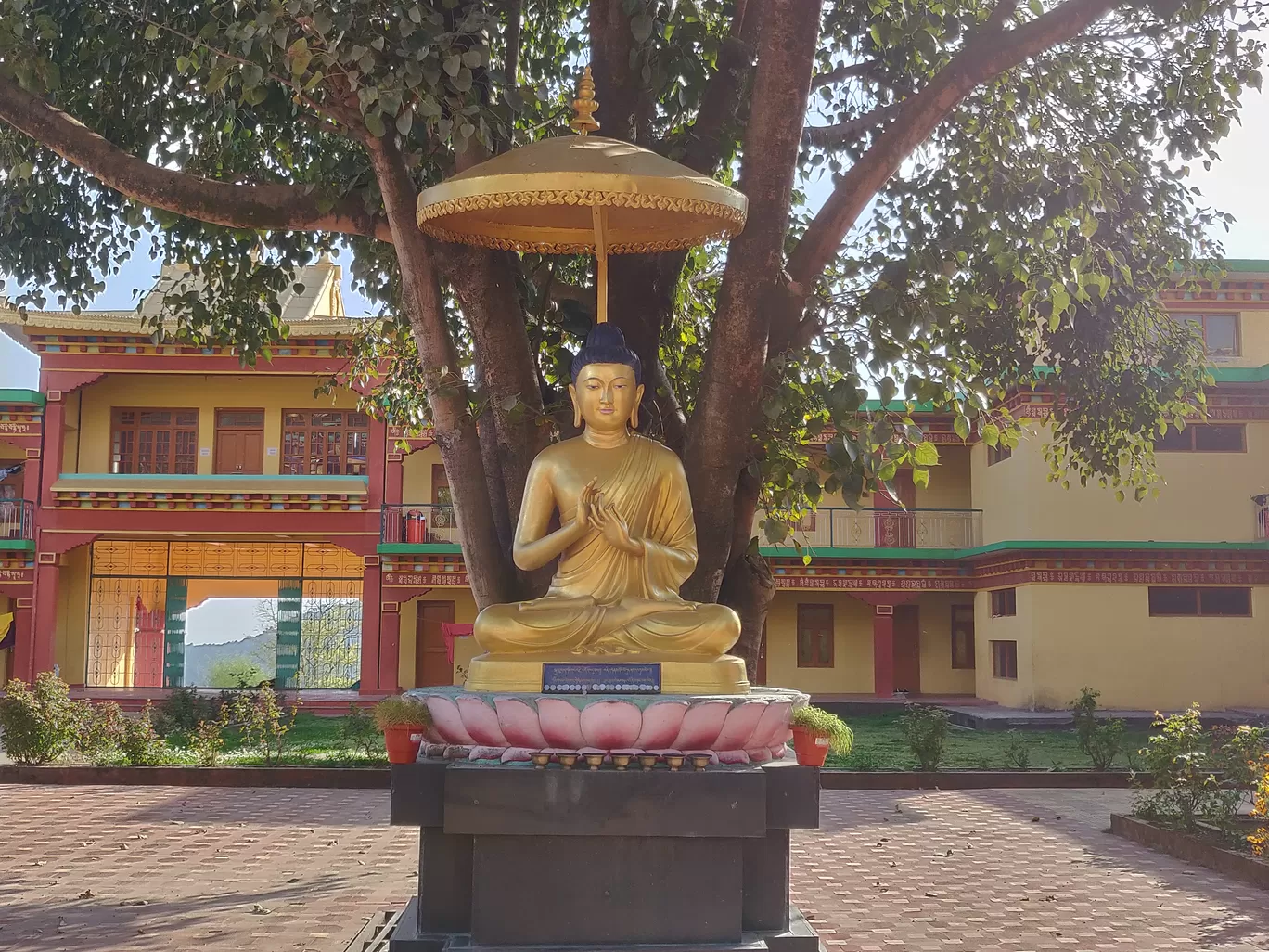 Photo of Bir By Ila Reddy
