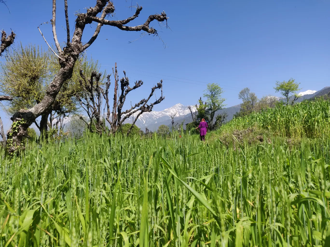 Photo of Bir By Ila Reddy