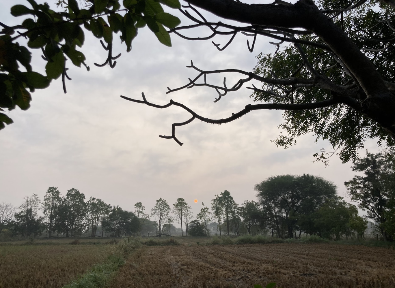 Photo of Mulugu By Ila Reddy