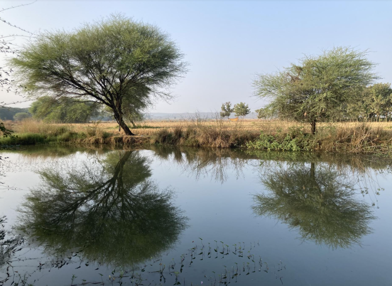 Photo of Mulugu By Ila Reddy