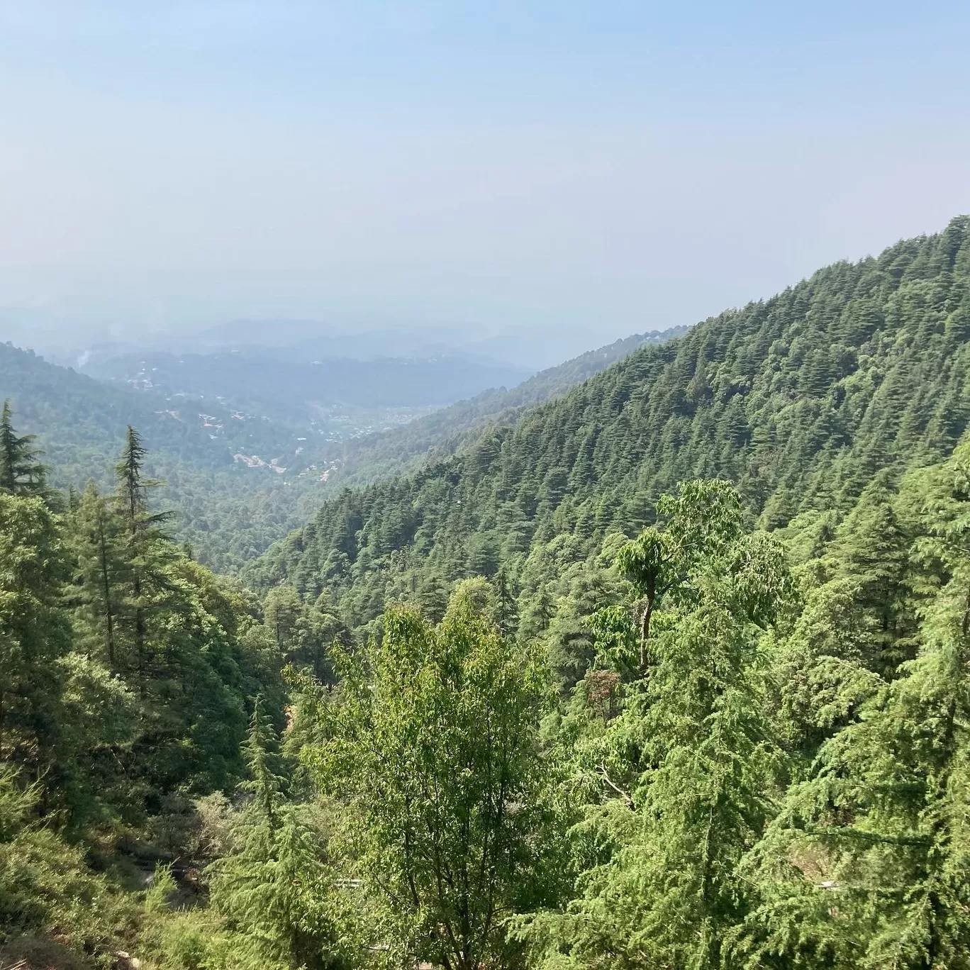 Photo of Dharamkot Studio By Ila Reddy
