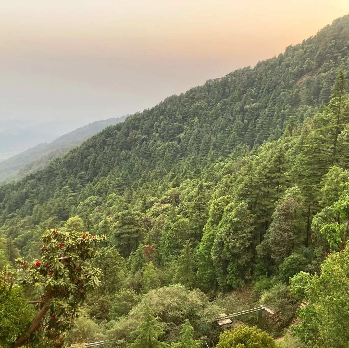 Photo of Dharamkot Studio By Ila Reddy