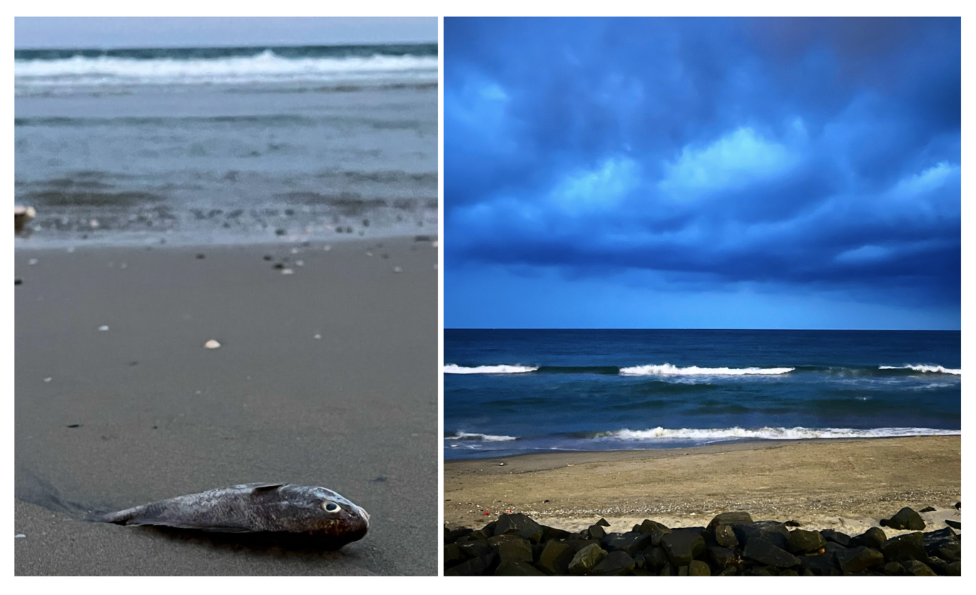 Photo of Puducherry By Ila Reddy