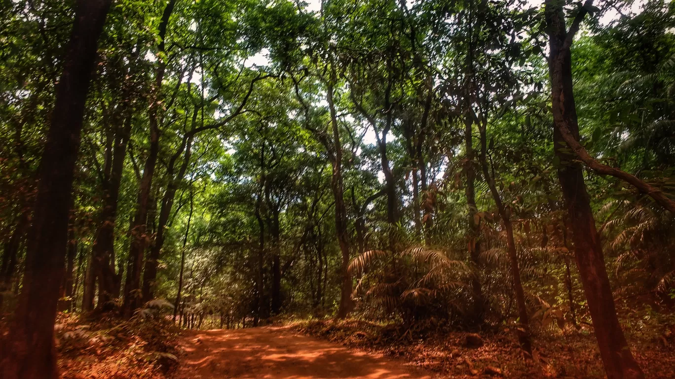 Photo of Goa By Aastha Tongia