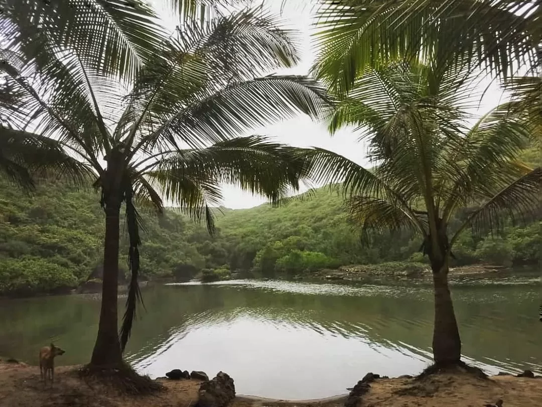Photo of Goa By Aastha Tongia