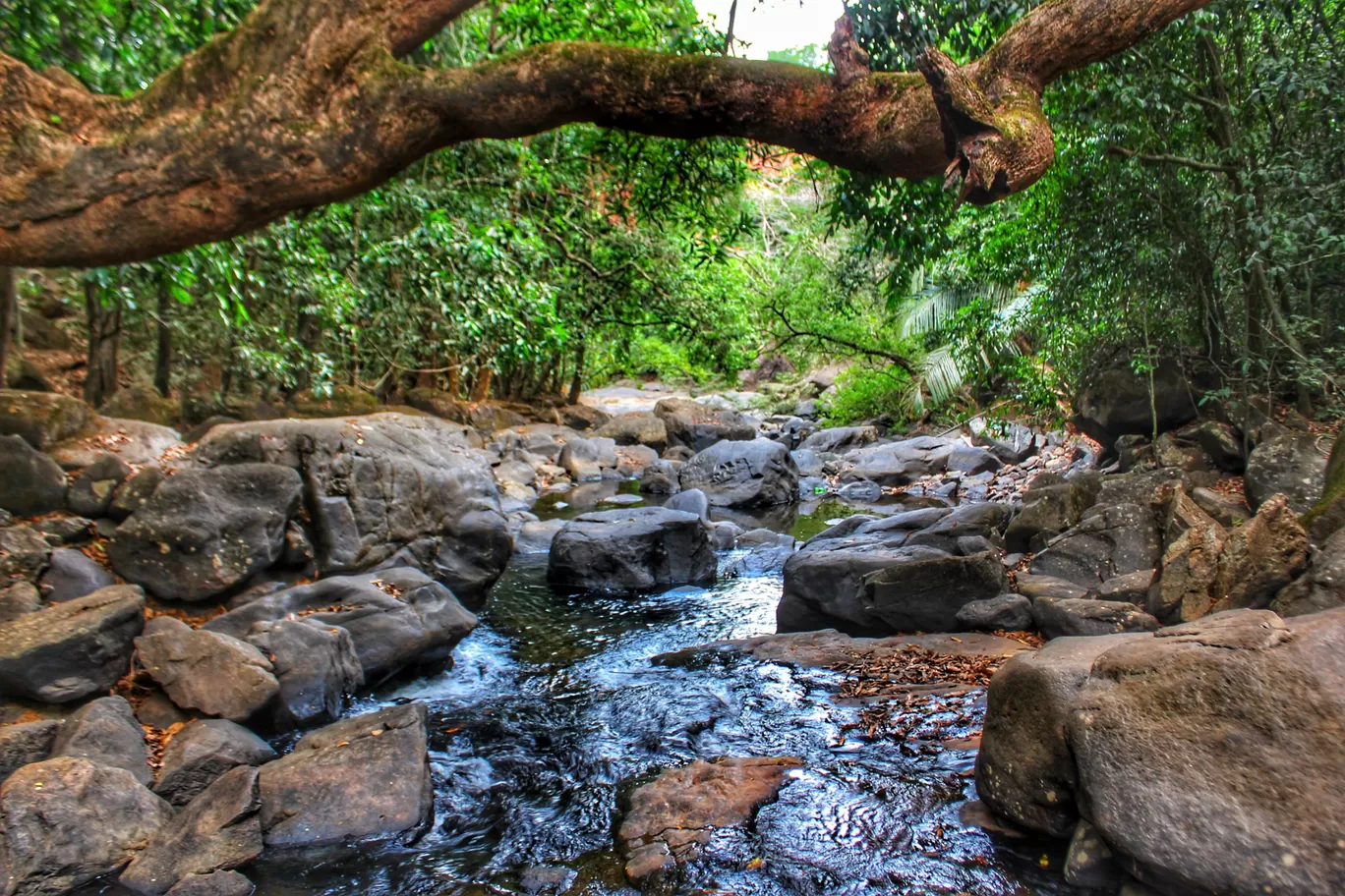 Photo of Goa By Aastha Tongia