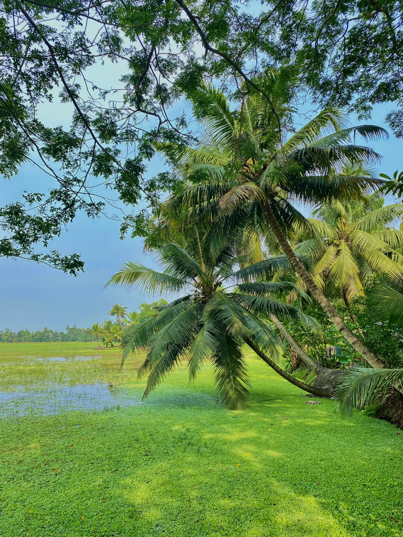 Photo of Alappuzha By Shraddha Bansode 📸