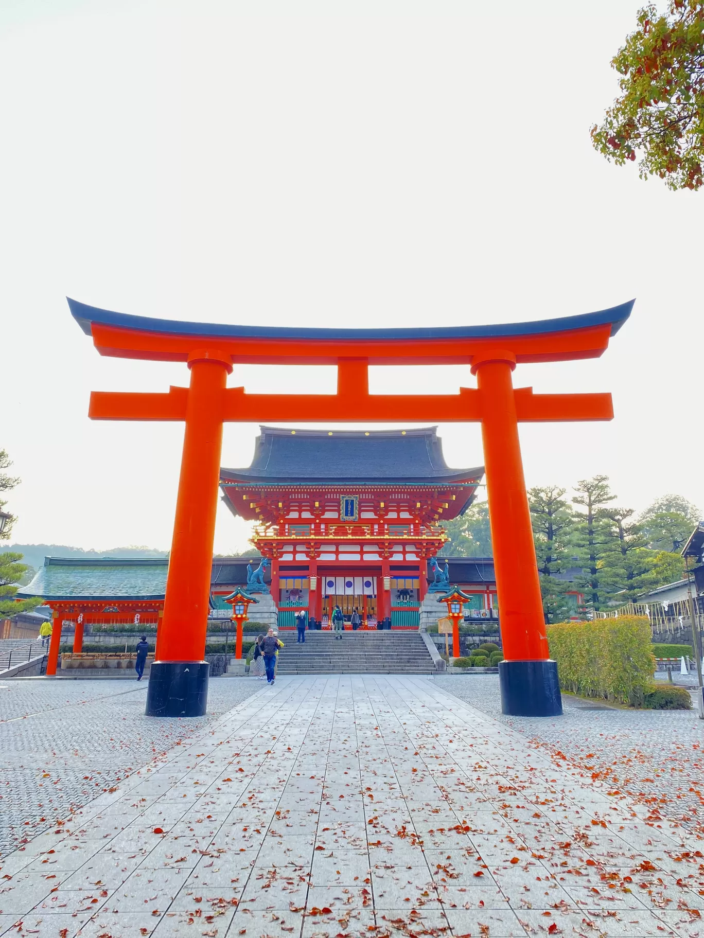 Photo of Fushimi Inari Taisha By Shraddha Bansode