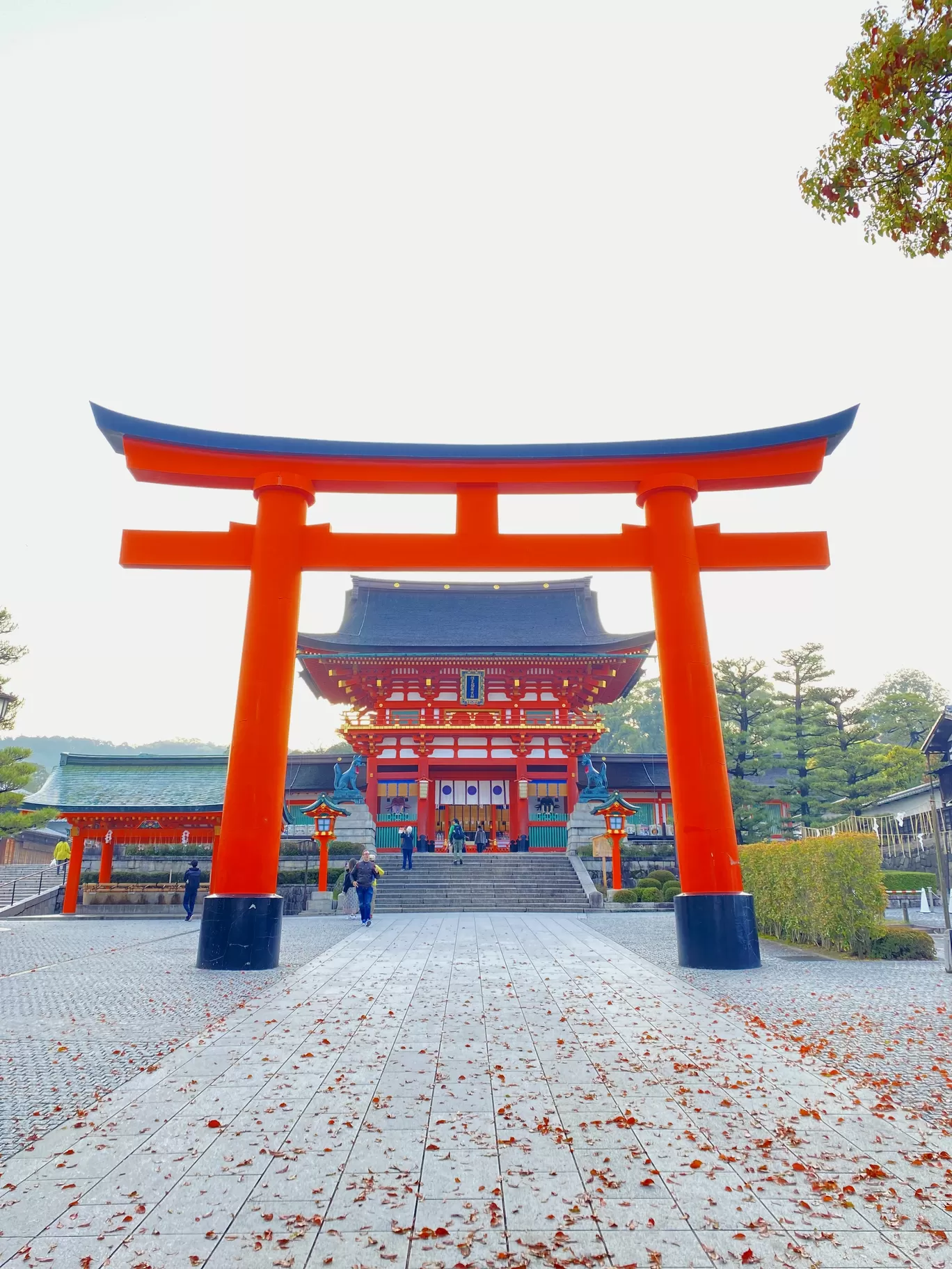 Photo of Fushimi Inari Taisha By Shraddha Bansode 📸