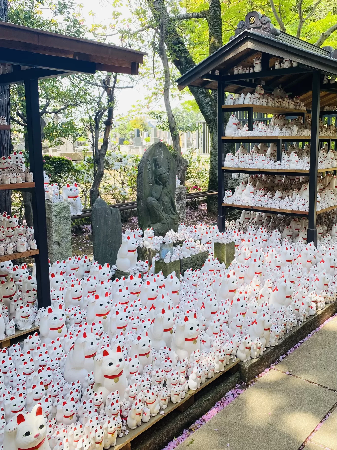 Photo of Gotokuji Temple By Shraddha Bansode 📸