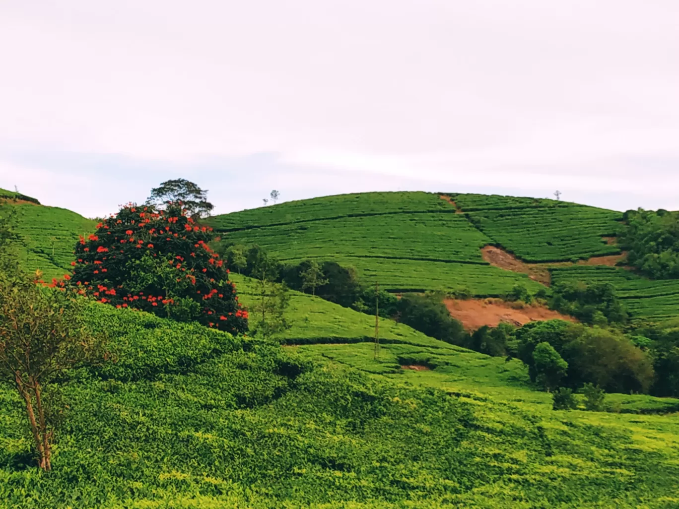 Photo of Vagamon By Uddeshya Gautam