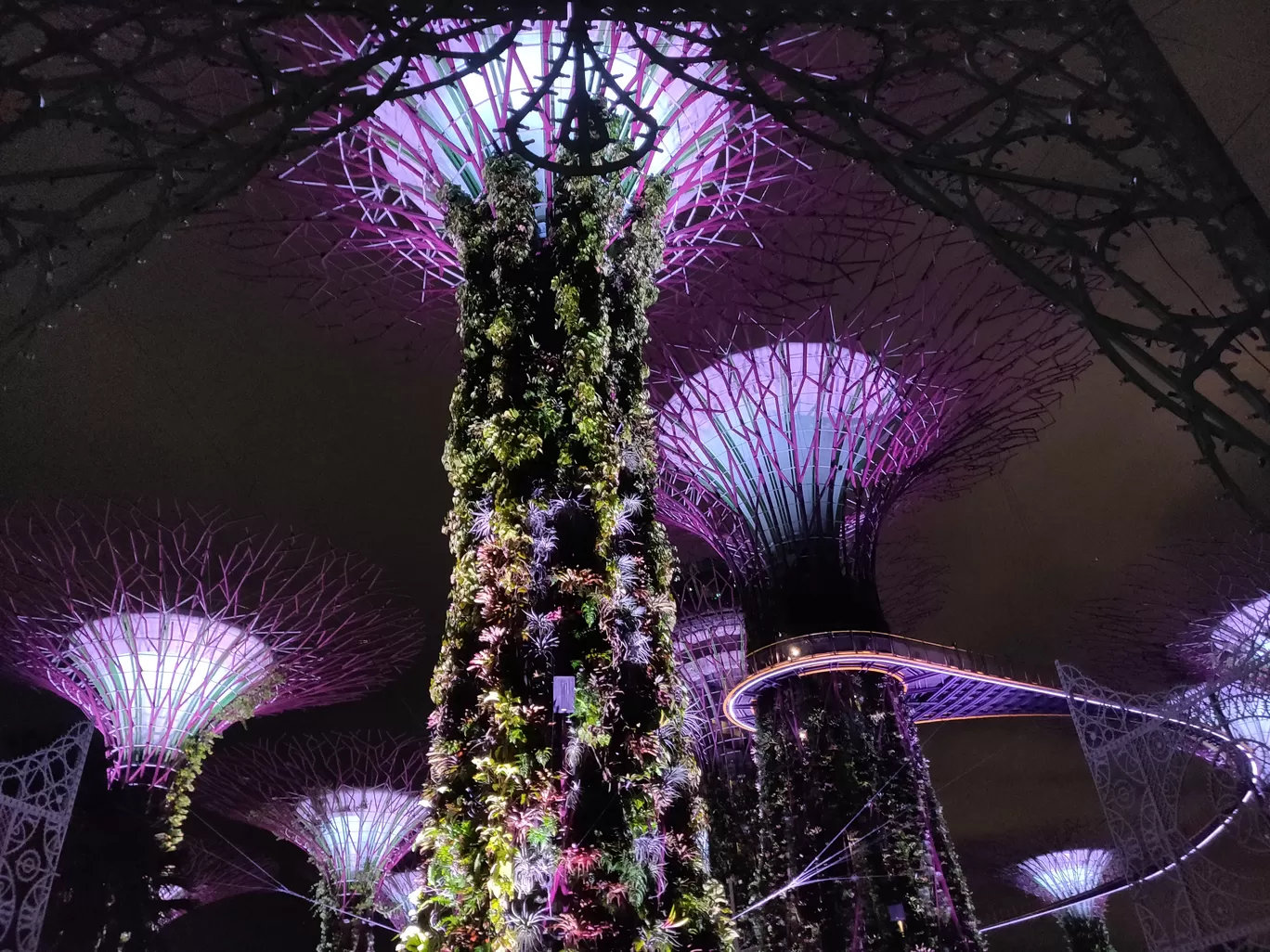 Photo of Singapore By himanshu jha