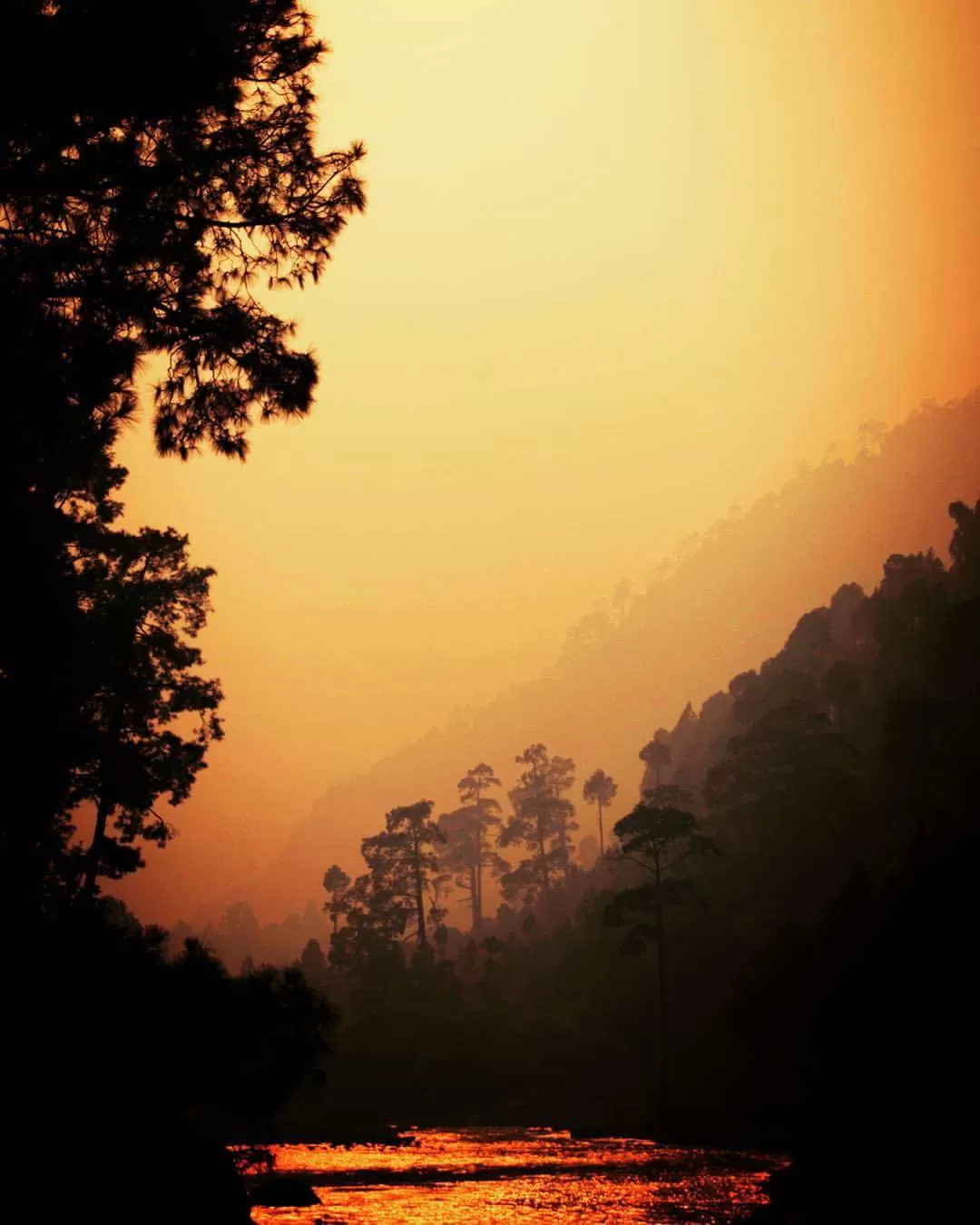 Photo of Sankri By ಕಾರ್ತಿಕ್ ಆರ್ ಮೂಡಲಗಿರಿ