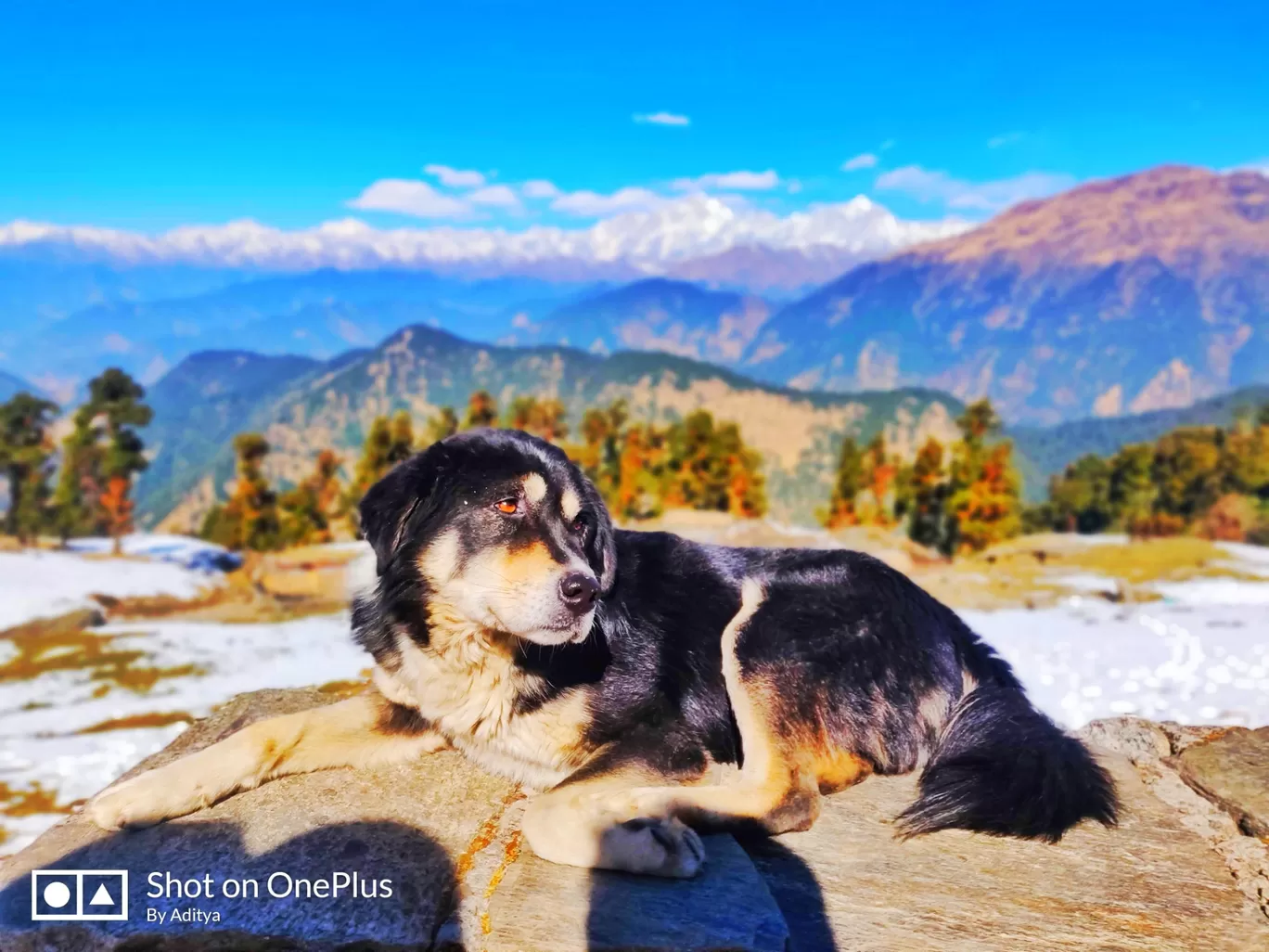 Photo of Tungnath By Kanchan Kannojia