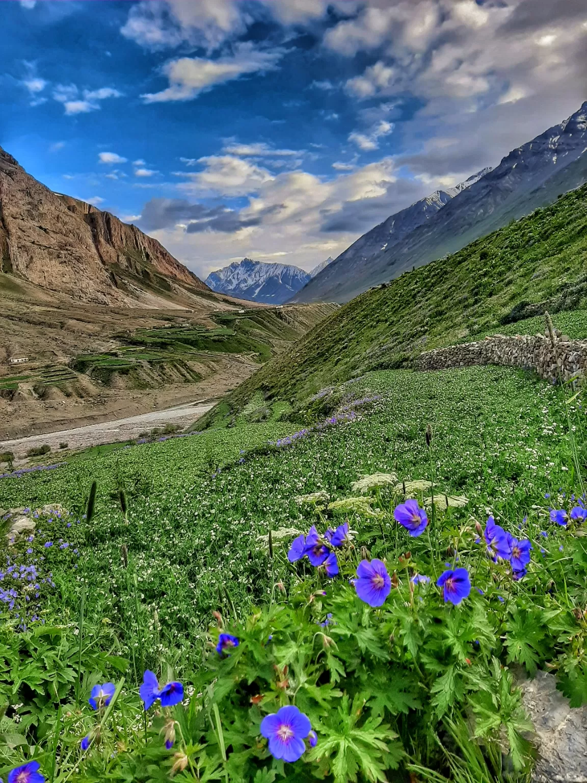 Photo of Pin Valley National Park By arpit agarwal
