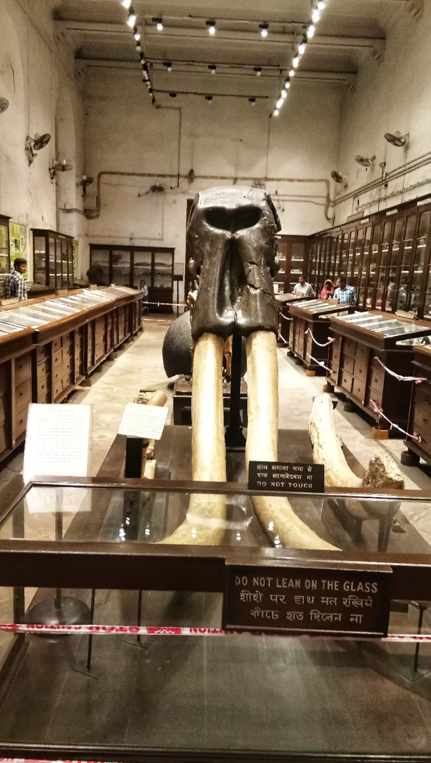 Photo of Indian museum Kolkata By Esther Phaipi