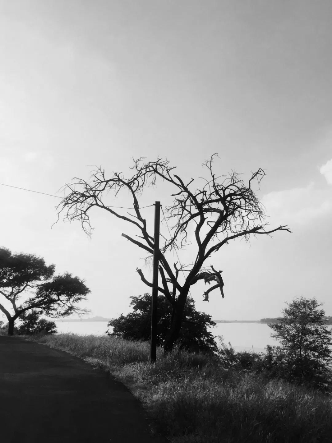 Photo of Bhopal By Esther Phaipi