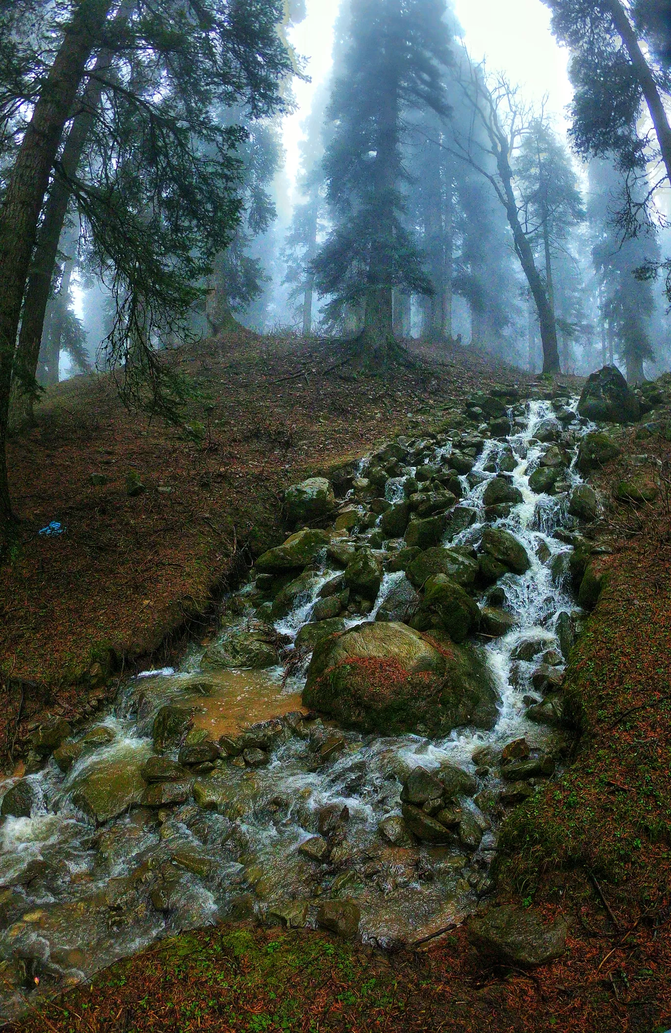 Photo of Gulmarg By Akash Mendpara