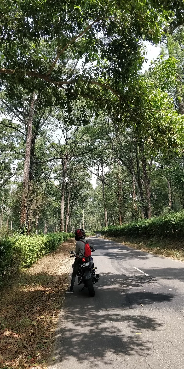 Photo of Valparai By Abin Varghese