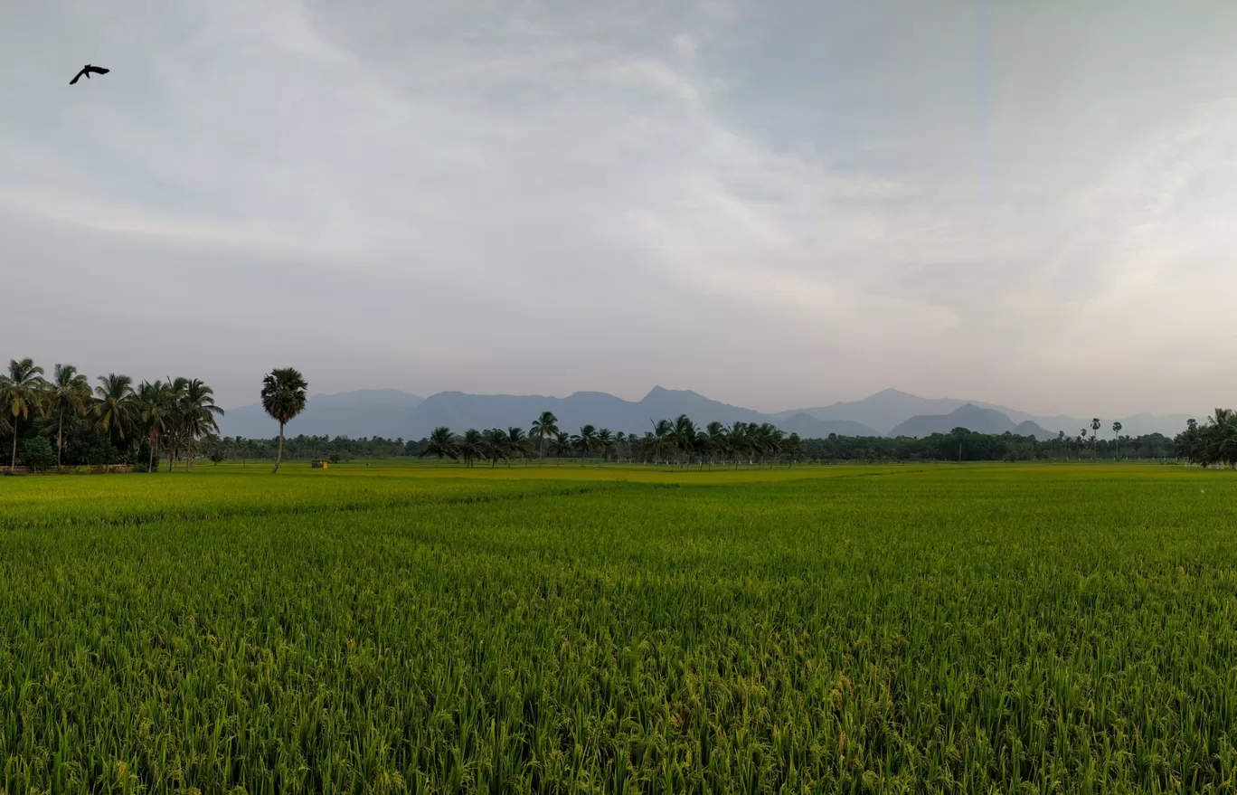 Photo of Valparai By Abin Varghese