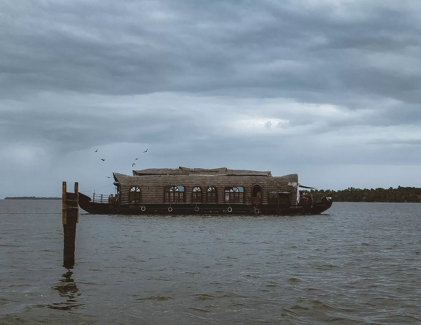 Photo of Thanneermukkom Bund By Abin Varghese