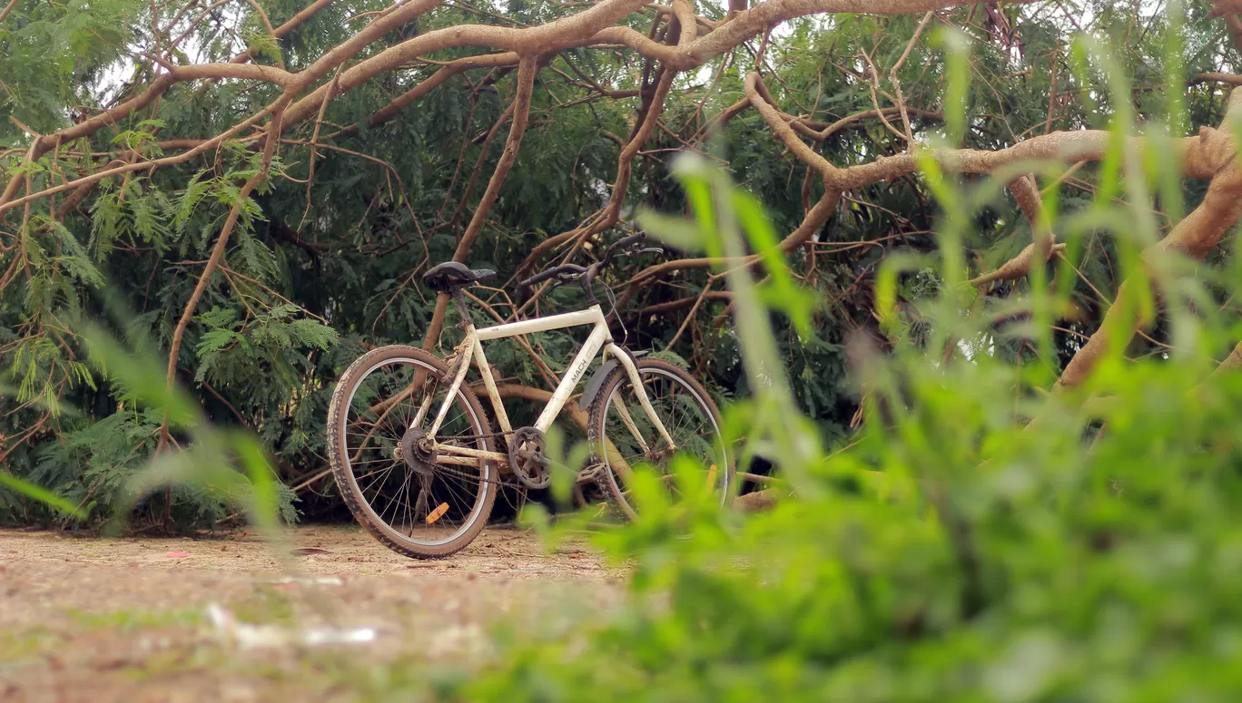 Photo of Thanneermukkom Bund By Abin Varghese